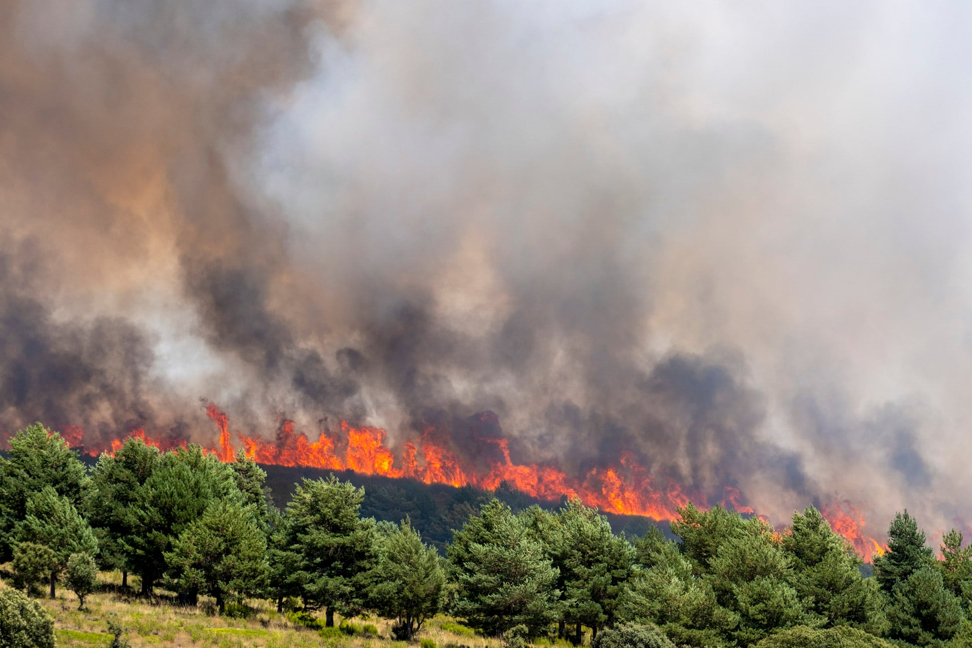 El silencio habita Muriel tras la evacuación por el fuego