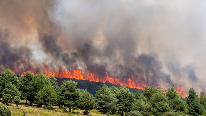 El silencio habita Muriel tras la evacuación por el fuego