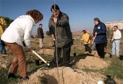 Unos vecinos plantaban árboles en el barrio de Loranca, en Fuenlabrada.