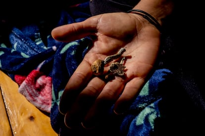 hongos salud mental