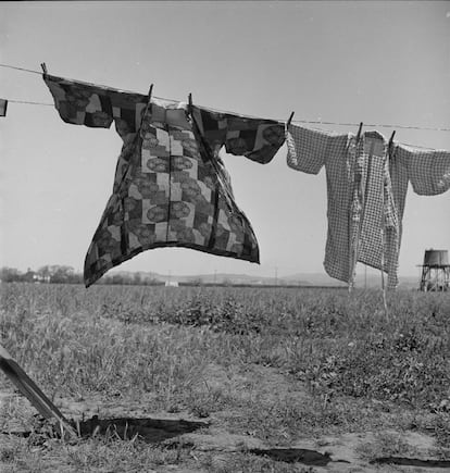 San Lorenzo, California, 1942. Día de colada 48 horas antes de la evacuación de la las personas con ancestros japoneses de esta comunidad granjera en el condado de Santa Clar
