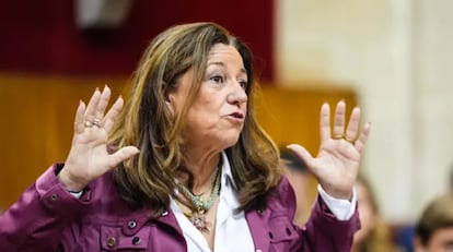 La consejera andaluza de Desarrollo Educativo, Carmen Castillo, durante una intervención en el Parlamento autonómico.