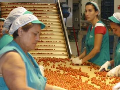 Mujeres trabajando en una cadena de producci&oacute;n.