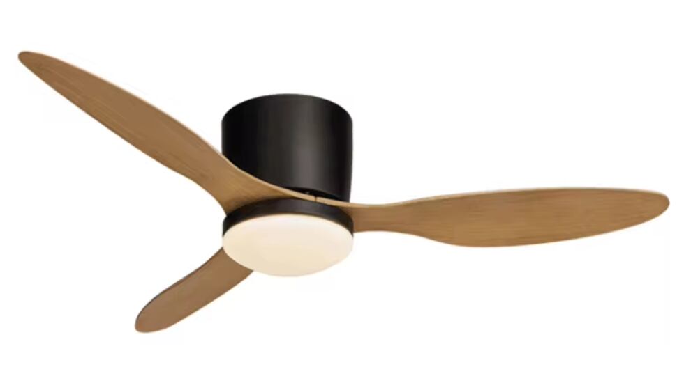 Vista de ventilador de techo.