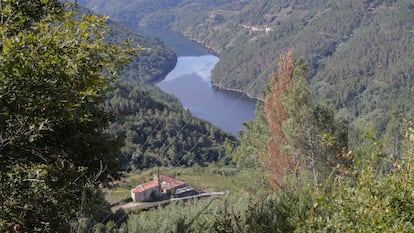 El río Miño, en la Ribeira Sacra (A Cova, Saviñao, Lugo).