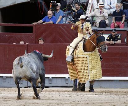 'Liebre', toro de la ganadería de Rehuelga, premiado en San Isidro de 2017.