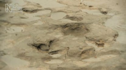 Las huellas humanas de hace 800.000 años del yacimiento de Happisburgh (Reino Unido).
