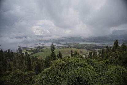 En medio de este bosque de pinos, en la parte alta del campo de pruebas, se entrena a los desminadores. Es un lugar deshabitado, que simula los terrenos donde suelen enterrar las minas antipersona. Solo transitan unos pocos soldados. Al fondo, el embalse del Muña, a una hora de Bogotá, altamente contaminado