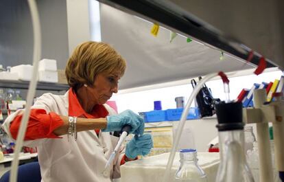 Consuelo Guerri, en su puesto de investigación.