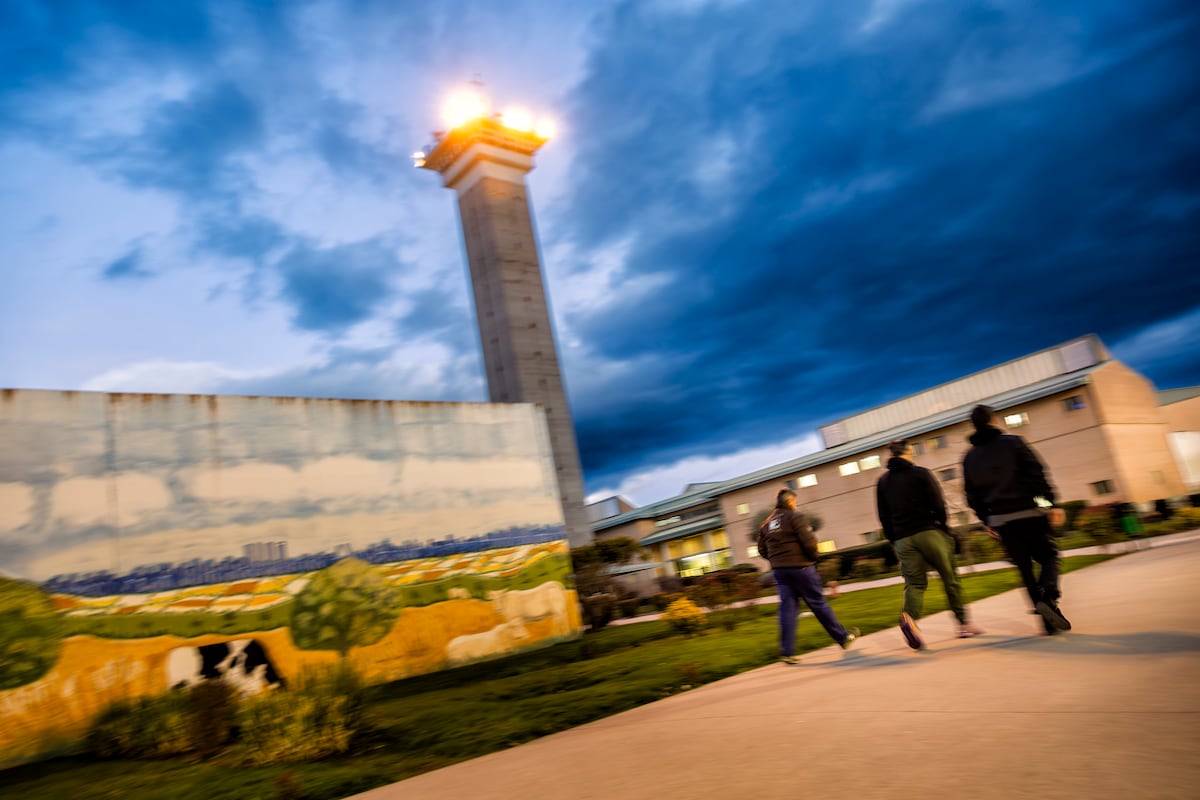 Esa barrera de papel frente a la cárcel: así refuerzan el derecho de defensa tres sentencias del Constitucional