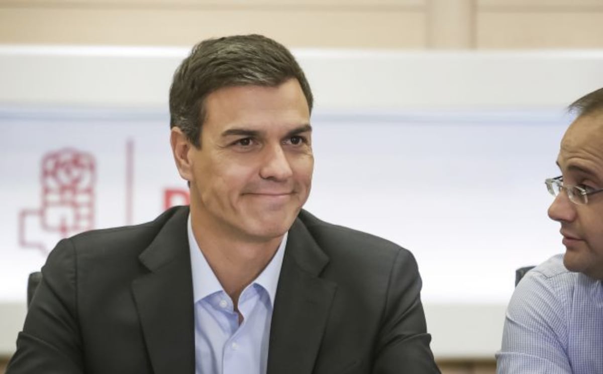 PSOE Pedro Sánchez necesita un 'coach': Pedro Sánchez necesita un 'coach' |  Fortuna | Cinco Días