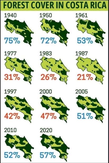 La cobertura boscosa costarricense a lo largo de los años, en una ilustración basada en datos públicos del Ministerio de Medio Ambiente, energía y minas de Costa Rica en 'Conservation News' en julio 2024.