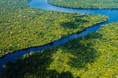 Reserva Nacional Pacaya Samiria