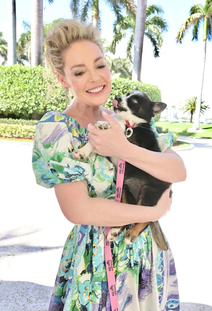 Katherine Heigl perros