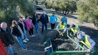 Los profesores José Luis Soto y Antonio Almagro, de la Cátedra de Ética y Responsabilidad de la SAFA de Úbeda (Jaén), con alumnos del centro en una finca olivarera donde trabajan inmigrantes subsaharianos.