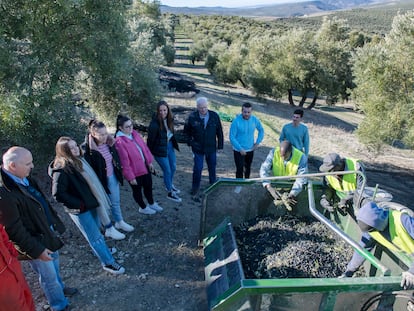 Los profesores José Luis Soto y Antonio Almagro, de la Cátedra de Ética y Responsabilidad de la SAFA de Úbeda (Jaén), con alumnos del centro en una finca olivarera donde trabajan inmigrantes subsaharianos.