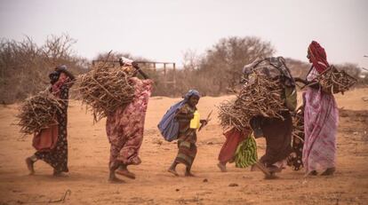 Unas mujeres transportan leña en el campo de refugiados de Dadaab (Kenia) en septiembre de 2011.