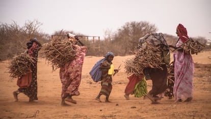 Unas mujeres transportan leña en el campo de refugiados de Dadaab (Kenia) en septiembre de 2011.