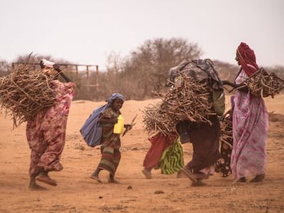 Unas mujeres transportan leña en el campo de refugiados de Dadaab (Kenia) en septiembre de 2011.