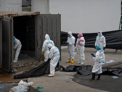 Officers of the National Police remove decomposing corpses from a container, in the morgue of the Judicial Police facilities in Guayaquil (Ecuador), on June 12.