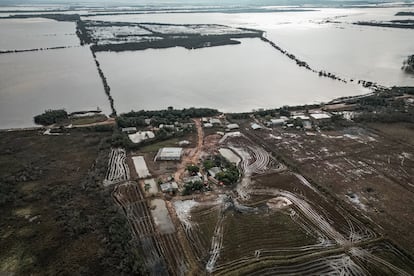 Una granja de arroz dañada tras las inundaciones en Rio Grande do Sul (Brasil), el 22 de mayo.