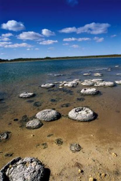 Fotografía facilitada por el departamento de Turismo de Australia Occidental del lago Thetis en la localidad australiana de Cervantes, un área con una circunferencia de 1,2 kilómetros que se formó tras la retirada del mar hace miles de años.