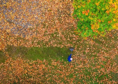 Un hombre limpia hojas de otoño coloridas caídas en un parque de Berlín (Alemania).