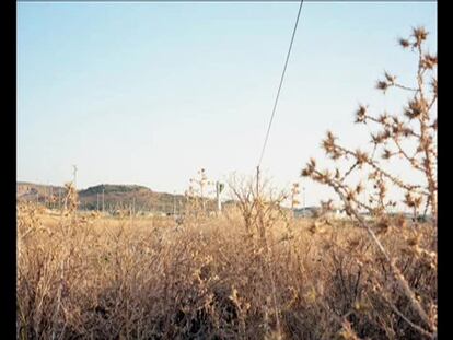 El corredor de la vida