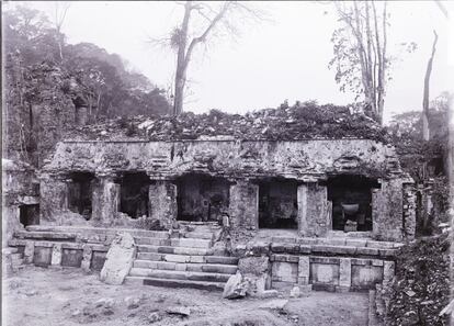 La casa C en el Palenque.