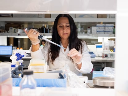 Juliana Cassataro en el laboratorio del Instituto de Investigaciones Biotecnológicas UNSAM.