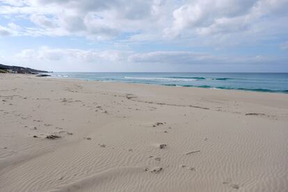 La playa de Tramuntana, en Formentera, este lunes.