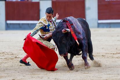 Toreo por bajo de David Galván al cuarto toro de la tarde.