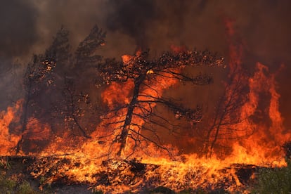 Las llamas queman un bosque en el pueblo de Vati, en la isla griega de Rodas, este martes.