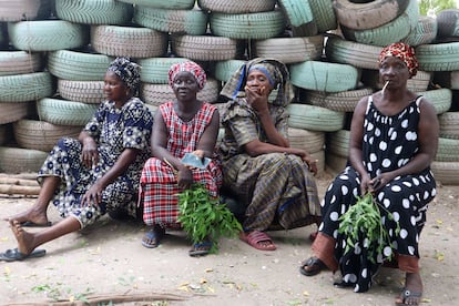 Mujeres miembros de la TRY Oyster Women’s Association, reunidas en el terreno que poseen en el barrio de Old Jeshwang, a las afueras de Banjul, para organizar sus actividades. Desde que se han agrupado han impuesto una veda en la recolección de moluscos que permite a estos reproducirse y crecer. También han reforestado el manglar. Y han unificado el precio de sus productos, pasando de vender una taza de ostras de 10 dalasis (0,18 euros) a 75 (1,39 euros). Estas son algunas de las ventajas que les reporta el trabajar unidas.