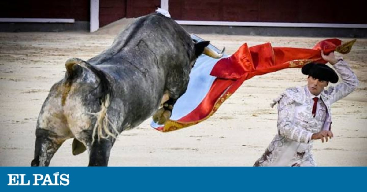 “Quiero ser un revolucionario del toreo y ponerme rico (aunque esté feo
