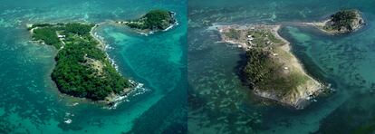 La composición muestra una vista aérea de la isla de los monos. A la izquierda, con todos sus árboles, en una imagen de 2008. A la derecha, su estado en 2020, tres años después del paso del huracán.