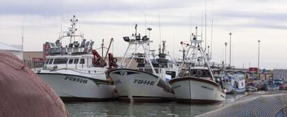 Barcos de Barbate, amarrados a puerto.