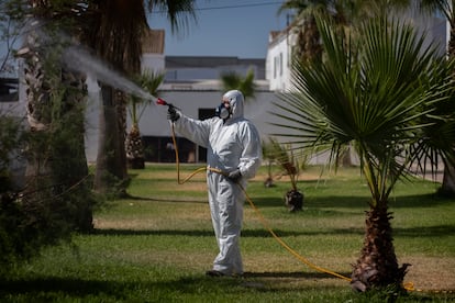 Un operario trabaja en labores de fumigación de mosquitos en zonas verdes en la pedanía de Los Chapatales, en Sevilla, en 2020.
