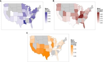 Los mapas muestran la mayor herencia genética de africanos (azul), europeos (rojo) e indios nativos (naranja) según las regiones de EE UU.