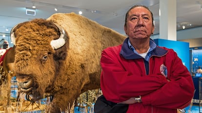 Ernie LaPointe, bisneto do Touro Sentado, posa com um bisão empalhado em um museu em Bremen, Alemanha, em 2016.