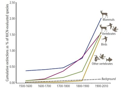 El gráfico muestra el porcentaje acumulado de especies de vertebrados (mamíferos, pájaros, anfibios, peces o reptiles) extinguidas desde 1500. La línea punteada es la tasa natural de extinción.