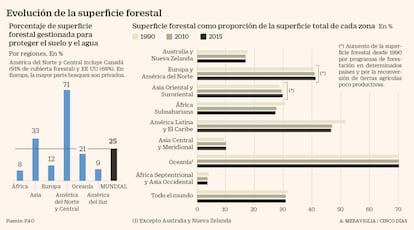 Evolución de la superficie forestal en el mundo