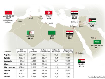 Crisis en los países árabes