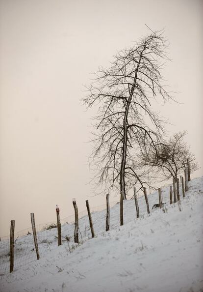 Paisaje nevado en Izoria, Álava.