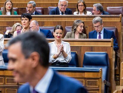 Pleno del Congreso de los Diputados, este miércoles.