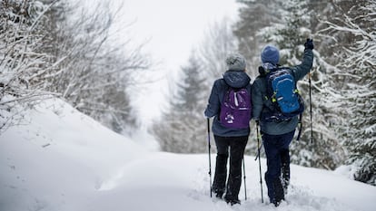 Mujer y hombre de espaldas paseando por la nieve.