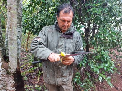 Leo Rangel corta un fruto en la reserva Yasí-Yateré, de su propiedad. 