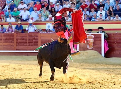 Feria Cenicientos Damian Castaño