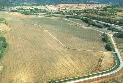 Vista aérea de una finca con árboles de Bosques Naturales en Villanueva de la Vera (Cáceres).