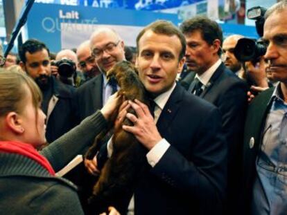 El presidente combate la imagen de urbanita en su primer Salón de la Agricultura, clave en la política francesa
